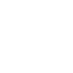 softex.png
